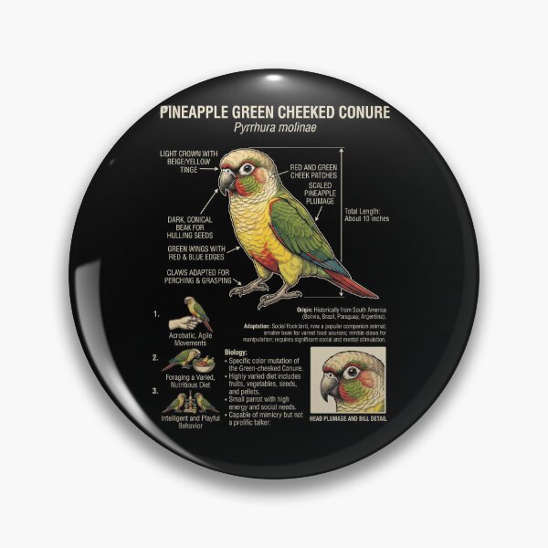 Item preview, Pineapple Green Cheeked Conure Scientific Anatomy Ornithology Parrot Lover designed and sold by dian-rody-crest.