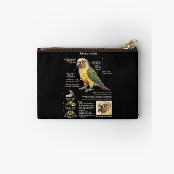 Item preview, Pineapple Green Cheeked Conure Scientific Anatomy Ornithology Parrot Lover designed and sold by dian-rody-crest.