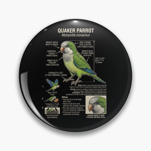 Item preview, Quaker Scientific Anatomy Ornithology Parrot Lover designed and sold by dian-rody-crest.