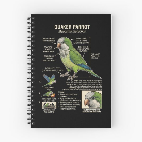 Item preview, Quaker Scientific Anatomy Ornithology Parrot Lover designed and sold by dian-rody-crest.
