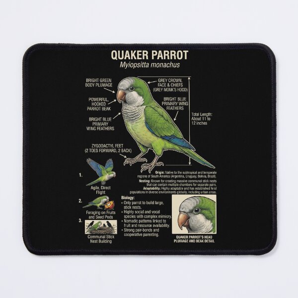Item preview, Quaker Scientific Anatomy Ornithology Parrot Lover designed and sold by dian-rody-crest.