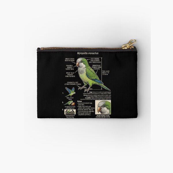Item preview, Quaker Scientific Anatomy Ornithology Parrot Lover designed and sold by dian-rody-crest.