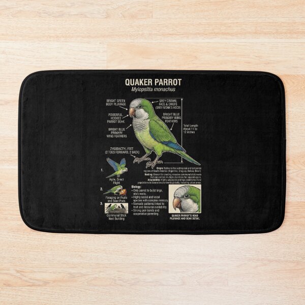 Item preview, Quaker Scientific Anatomy Ornithology Parrot Lover designed and sold by dian-rody-crest.