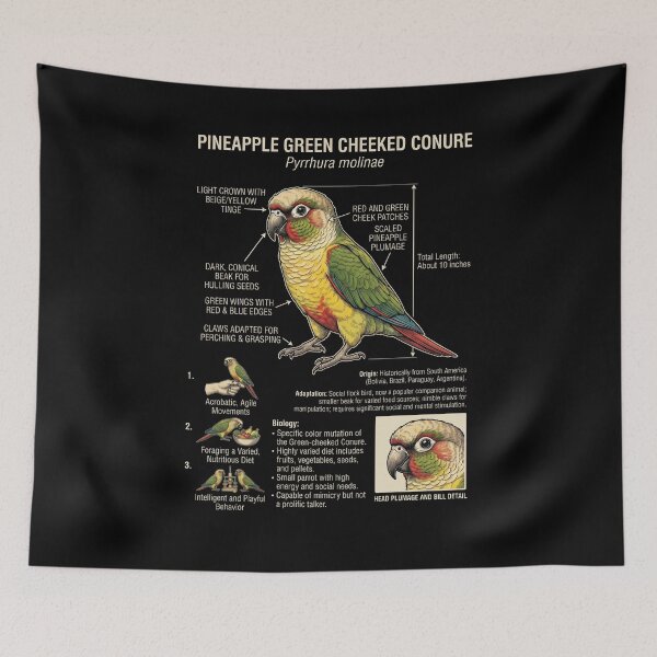 Item preview, Pineapple Green Cheeked Conure Scientific Anatomy Ornithology Parrot Lover designed and sold by dian-rody-crest.