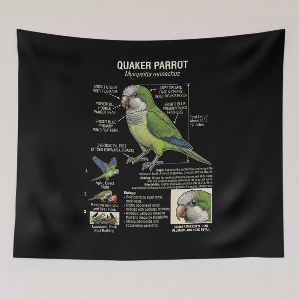 Item preview, Quaker Scientific Anatomy Ornithology Parrot Lover designed and sold by dian-rody-crest.