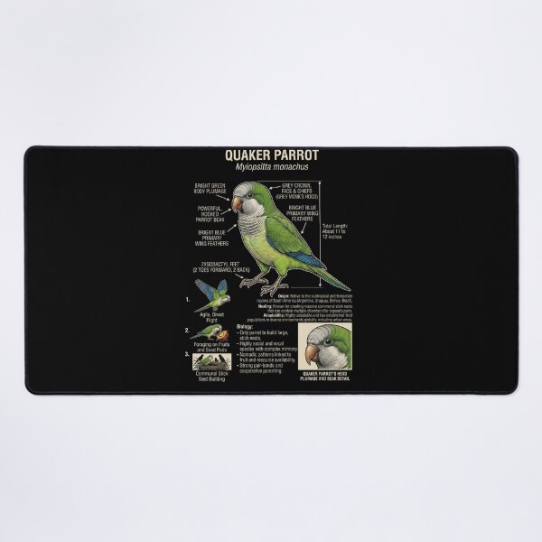 Item preview, Quaker Scientific Anatomy Ornithology Parrot Lover designed and sold by dian-rody-crest.