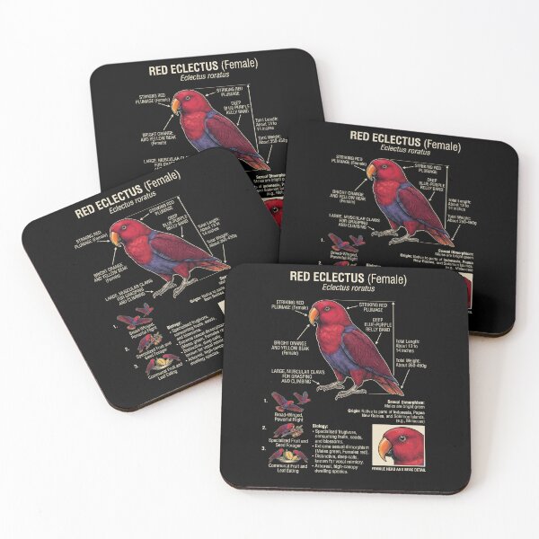 Item preview, Red Eclectus Scientific Anatomy Ornithology Parrot Lover designed and sold by dian-rody-crest.