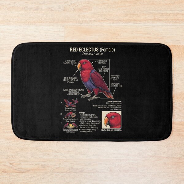 Item preview, Red Eclectus Scientific Anatomy Ornithology Parrot Lover designed and sold by dian-rody-crest.