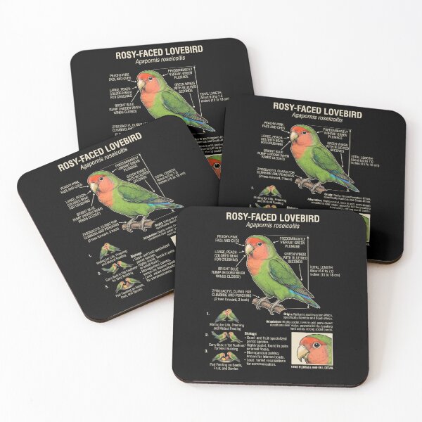 Item preview, Rosy Faced Lovebird Scientific Anatomy Ornithology Parrot Lover designed and sold by dian-rody-crest.