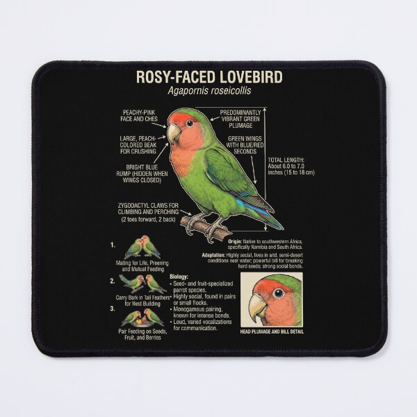 Item preview, Rosy Faced Lovebird Scientific Anatomy Ornithology Parrot Lover designed and sold by dian-rody-crest.