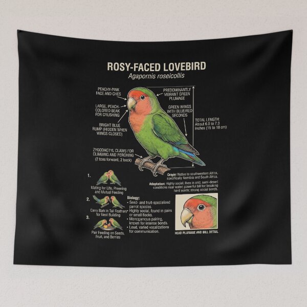 Item preview, Rosy Faced Lovebird Scientific Anatomy Ornithology Parrot Lover designed and sold by dian-rody-crest.