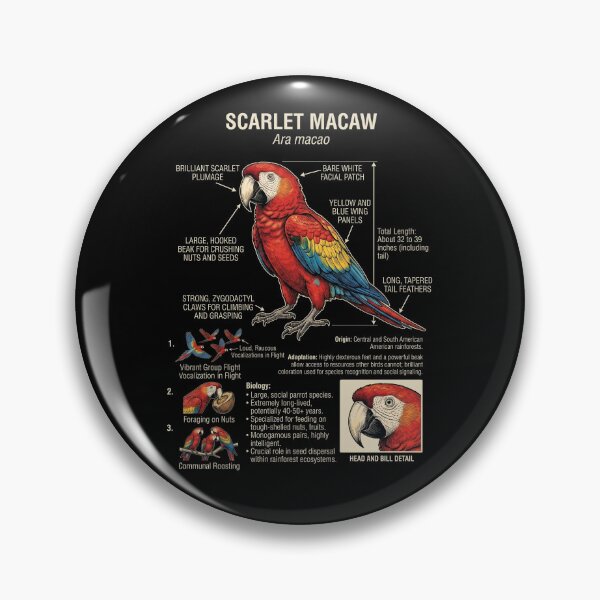 Item preview, Scarlet Macaw Scientific Anatomy Ornithology Parrot Lover designed and sold by dian-rody-crest.