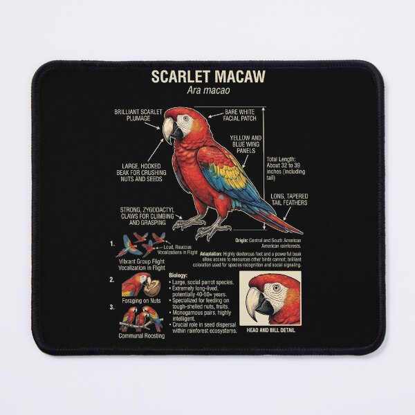 Item preview, Scarlet Macaw Scientific Anatomy Ornithology Parrot Lover designed and sold by dian-rody-crest.