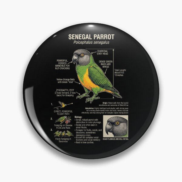 Item preview, Senegal Parrot Scientific Anatomy Ornithology Parrot Lover designed and sold by dian-rody-crest.