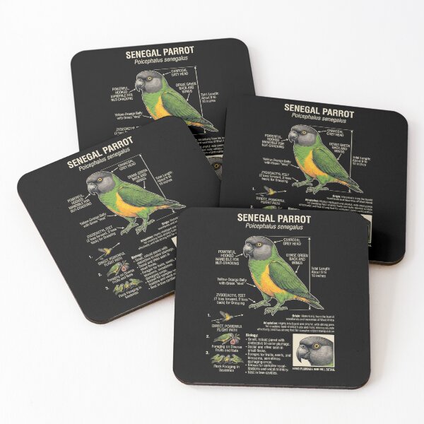 Item preview, Senegal Parrot Scientific Anatomy Ornithology Parrot Lover designed and sold by dian-rody-crest.