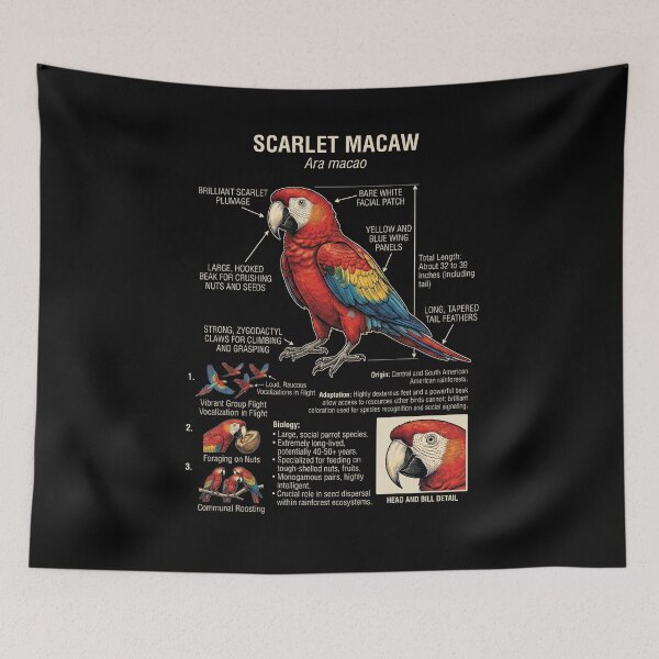 Item preview, Scarlet Macaw Scientific Anatomy Ornithology Parrot Lover designed and sold by dian-rody-crest.