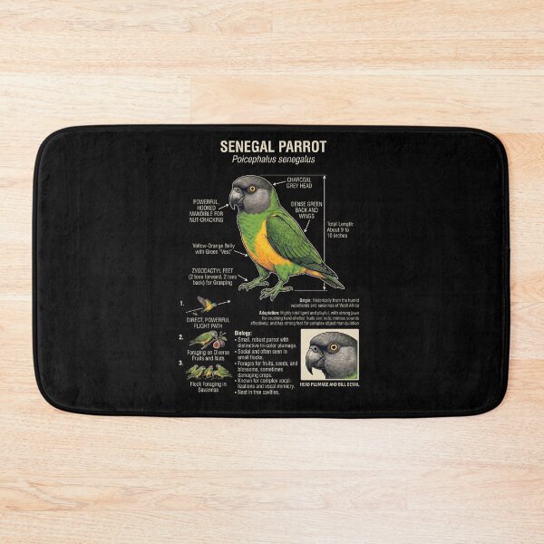 Item preview, Senegal Parrot Scientific Anatomy Ornithology Parrot Lover designed and sold by dian-rody-crest.