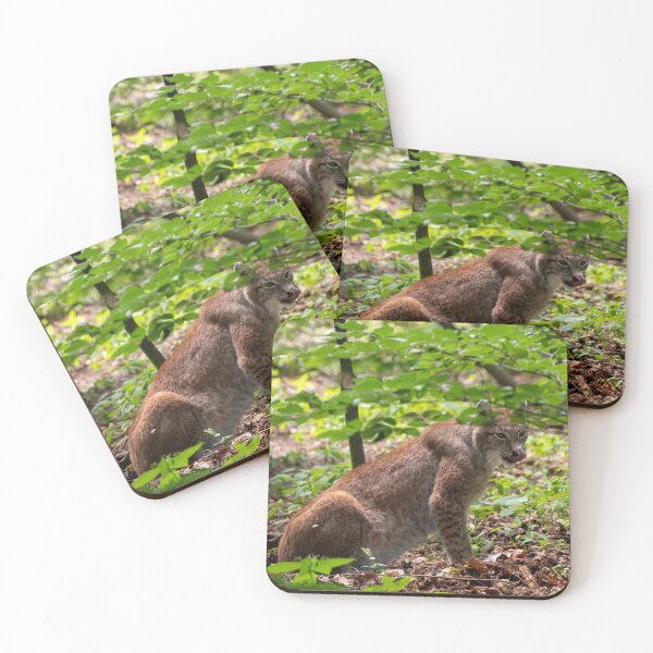 Item preview, Majestic Eurasian Lynx in the Wild | Forest Wildlife Photography | Nature Print designed and sold by StyleForge Apparel.