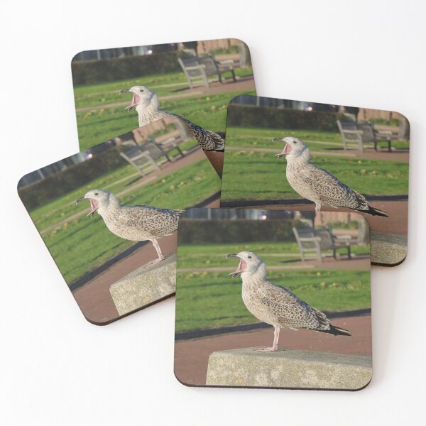 Item preview, Juvenile gull calling loudly on bright concrete surface designed and sold by Pierre de la Mare.