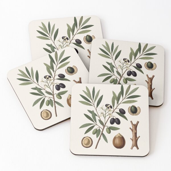 Item preview, Antique Olive Botanical Plate | Vintage Scientific Olive Branch Illustration designed and sold by Origamoart.