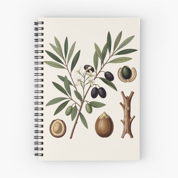 Item preview, Antique Olive Botanical Plate | Vintage Scientific Olive Branch Illustration designed and sold by Origamoart.