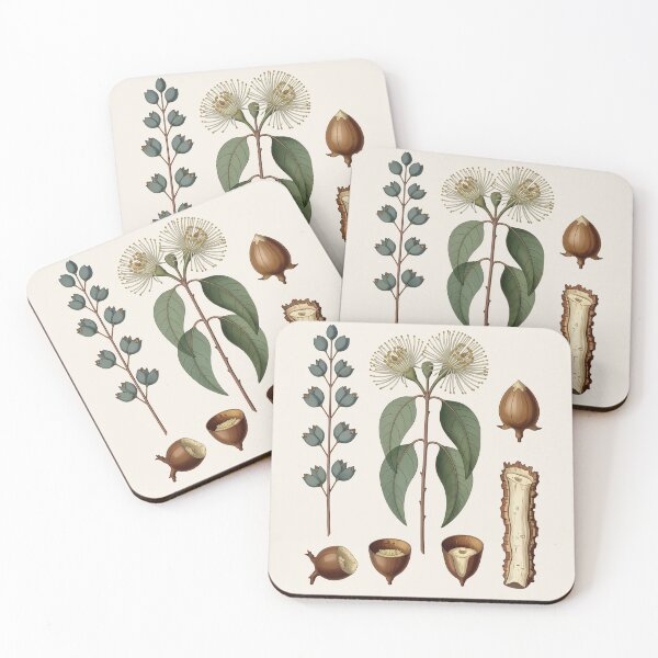 Item preview, Antique Eucalyptus Botanical Plate | Vintage Scientific Plant Illustration designed and sold by Origamoart.