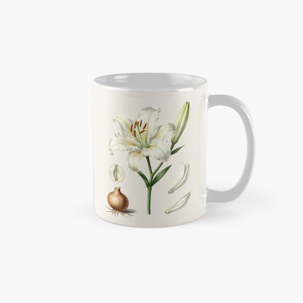 Item preview, Antique White Lily Botanical Plate | Vintage Scientific Flower Illustration designed and sold by Origamoart.