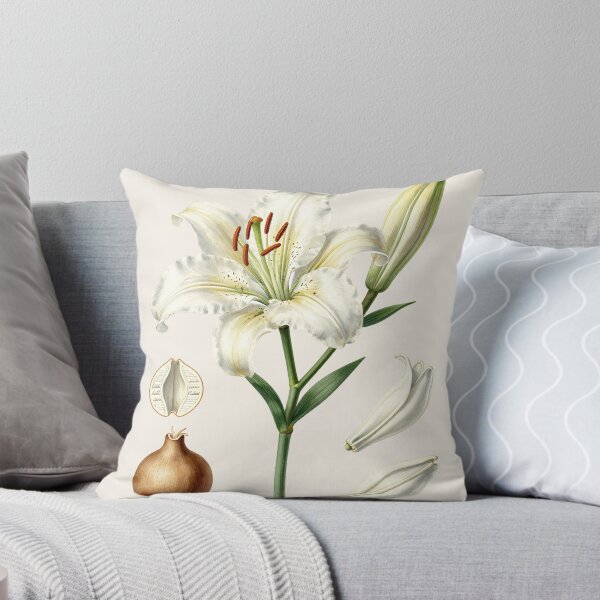 Item preview, Antique White Lily Botanical Plate | Vintage Scientific Flower Illustration designed and sold by Origamoart.
