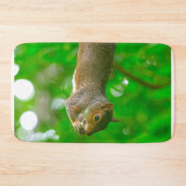Item preview, Upside Down Grey Squirrel Eating Snack designed and sold by Shanguai.