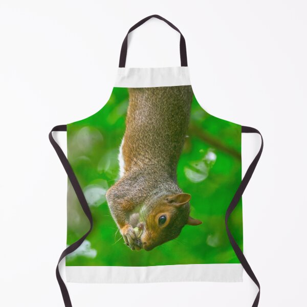 Item preview, Upside Down Grey Squirrel Eating Snack designed and sold by Shanguai.