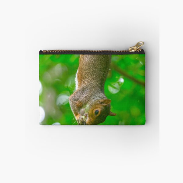 Item preview, Upside Down Grey Squirrel Eating Snack designed and sold by Shanguai.
