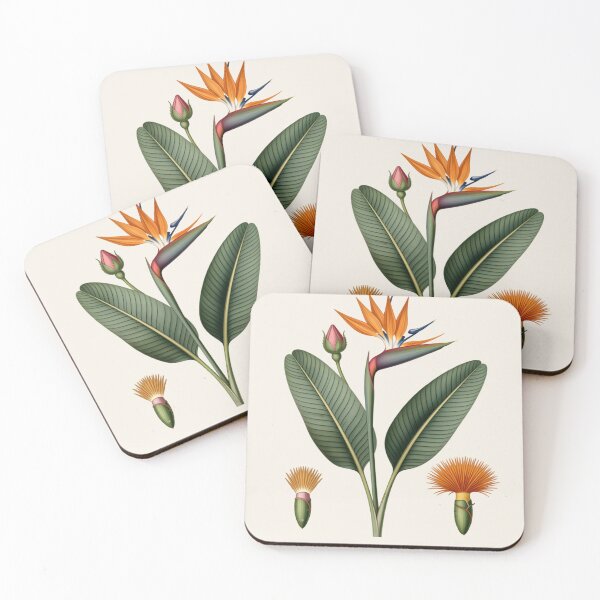 Item preview, Bird of Paradise Botanical Plate | Vintage Tropical Flower Scientific Illustration designed and sold by Origamoart.