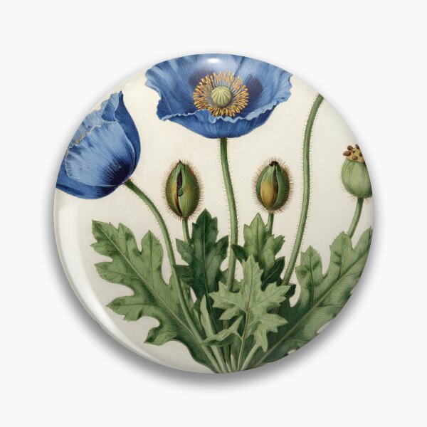 Item preview, Himalayan Blue Poppy Botanical Plate | Vintage Meconopsis Scientific Illustration designed and sold by Origamoart.