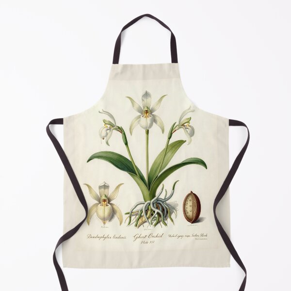 Item preview, Ghost Orchid Botanical Plate | Vintage Dendrophylax Lindenii Scientific Illustration designed and sold by Origamoart.