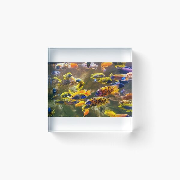 Item preview, A Symphony of Colour  designed and sold by Icarus Moments.