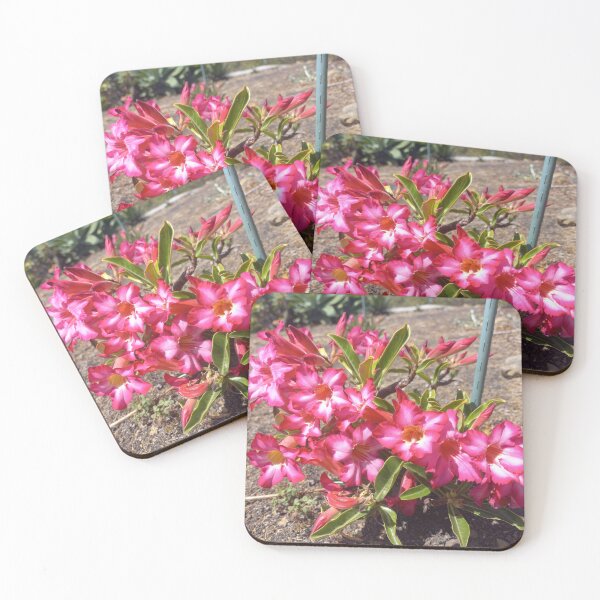 Item preview, Desert Rose designed and sold by birgitsfotoshop.