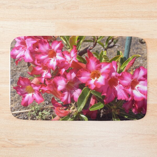 Item preview, Desert Rose designed and sold by birgitsfotoshop.