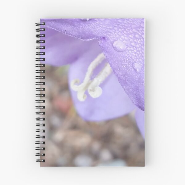Item preview, Bluebell Closeup designed and sold by CalmnessbyChoice.
