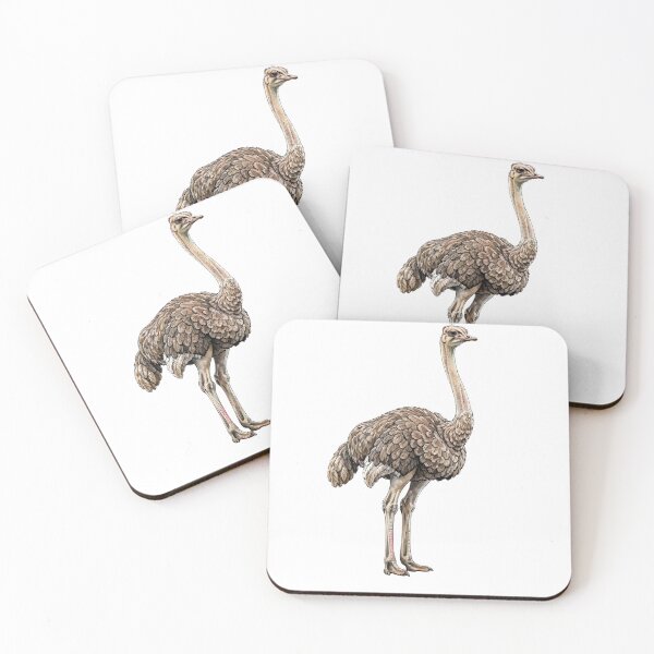 Item preview, Ostrich designed and sold by ZeusGallery.