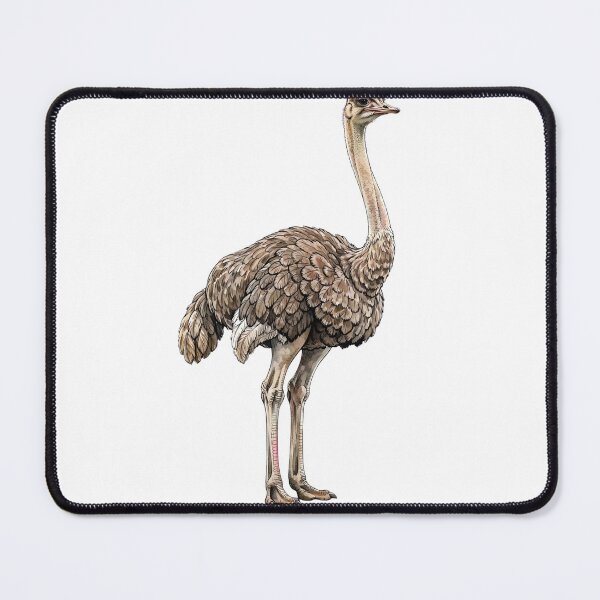 Item preview, Ostrich designed and sold by ZeusGallery.