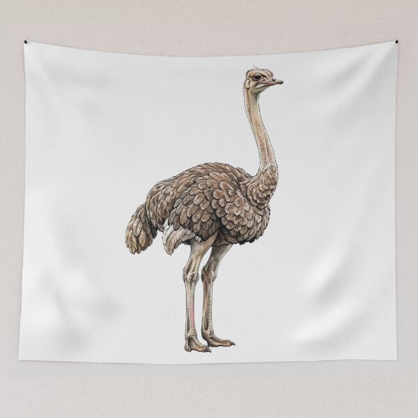 Item preview, Ostrich designed and sold by ZeusGallery.