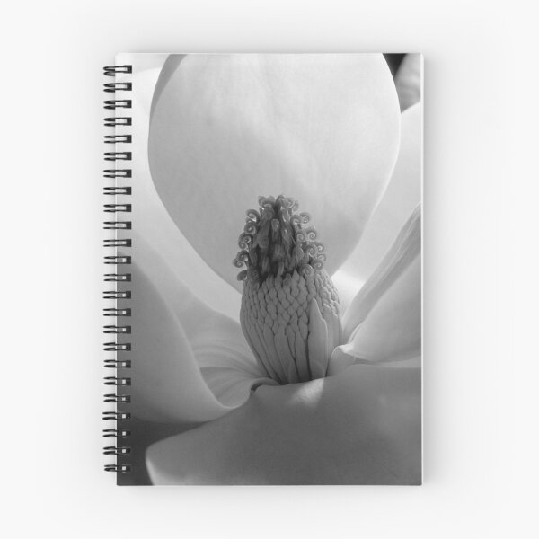 Item preview, Vintage white Magnolia Blossom black and white photograph art print portrait, 1925, by Imogen Cunningham designed and sold by Astrid Arkhangelsky.