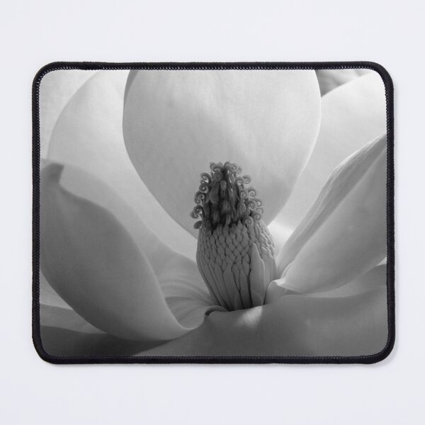 Item preview, Vintage white Magnolia Blossom black and white photograph art print portrait, 1925, by Imogen Cunningham designed and sold by Astrid Arkhangelsky.