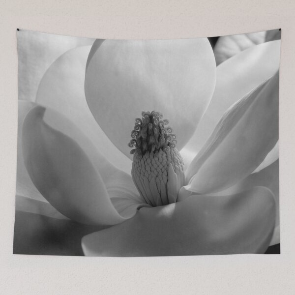 Item preview, Vintage white Magnolia Blossom black and white photograph art print portrait, 1925, by Imogen Cunningham designed and sold by Astrid Arkhangelsky.