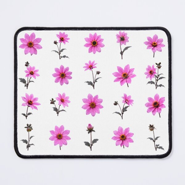 Item preview, Pink Cosmos Flower Botanical Set Soft Floral Elements Aesthetic designed and sold by Rehnair.