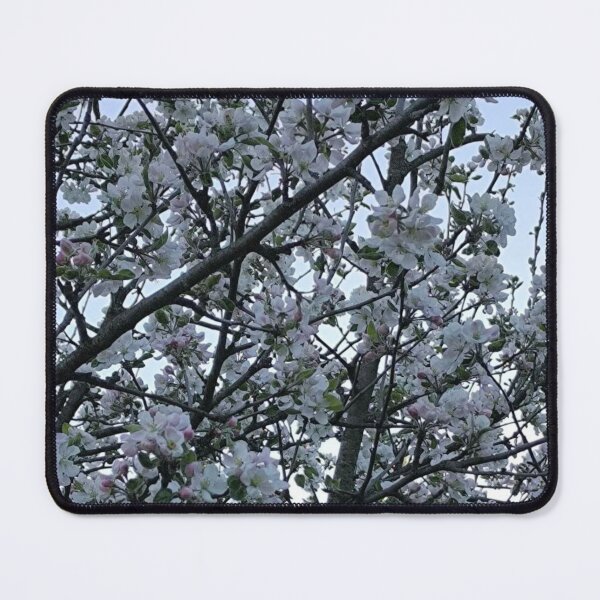 Item preview, Spring Blossom Sky designed and sold by LoreliNLi.
