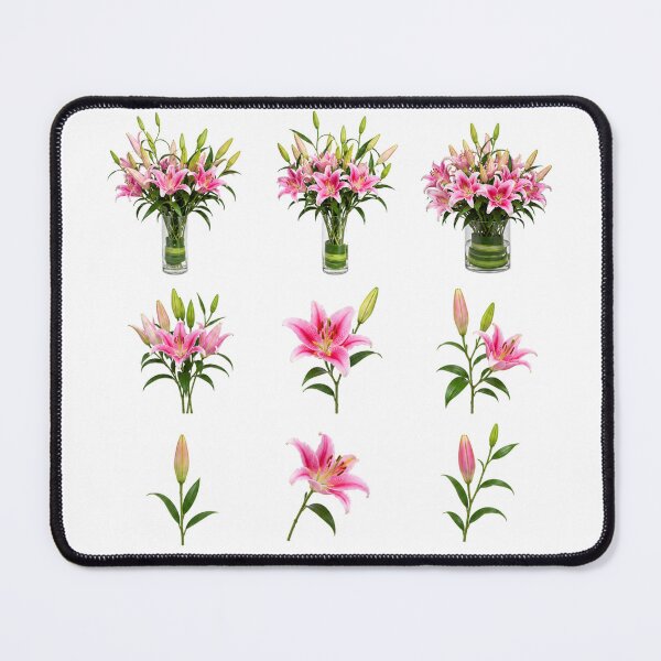 Item preview, Pink Stargazer Lily Vase Bouquet Botanical Set Aesthetic designed and sold by Rehnair.