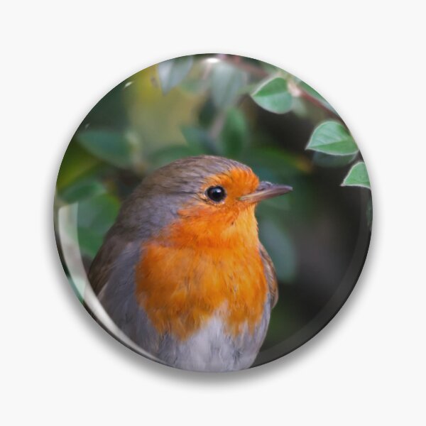 Item preview, European Robin Perched Among Green Leaves designed and sold by Shanguai.