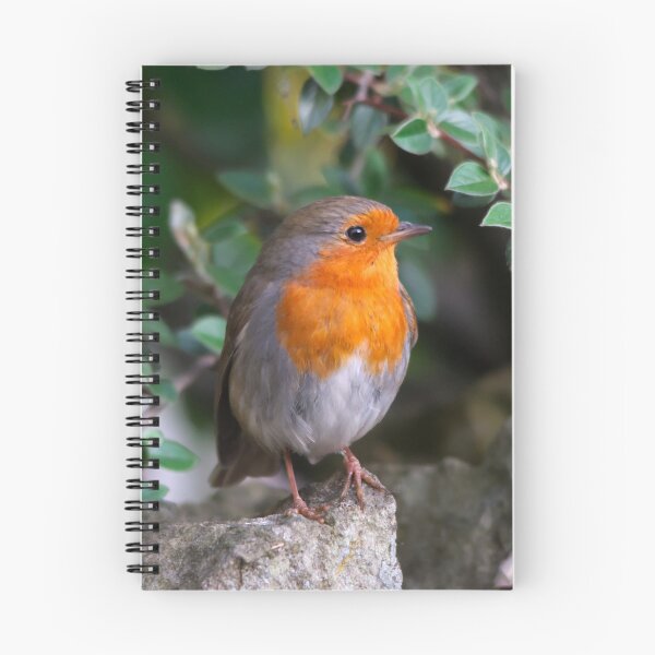 Item preview, European Robin Perched Among Green Leaves designed and sold by Shanguai.