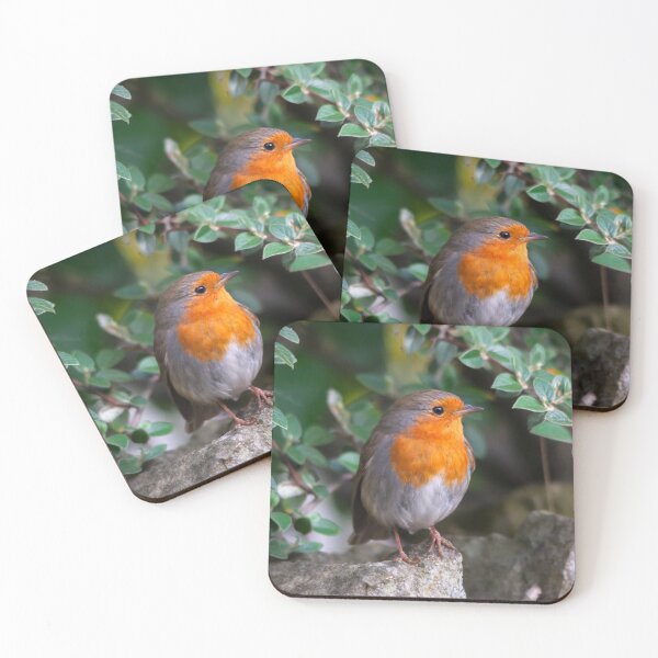 Item preview, European Robin Perched Among Green Leaves designed and sold by Shanguai.